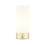 Destin Opal Glass Cylindrical Shade USB Table Lamp In Brass